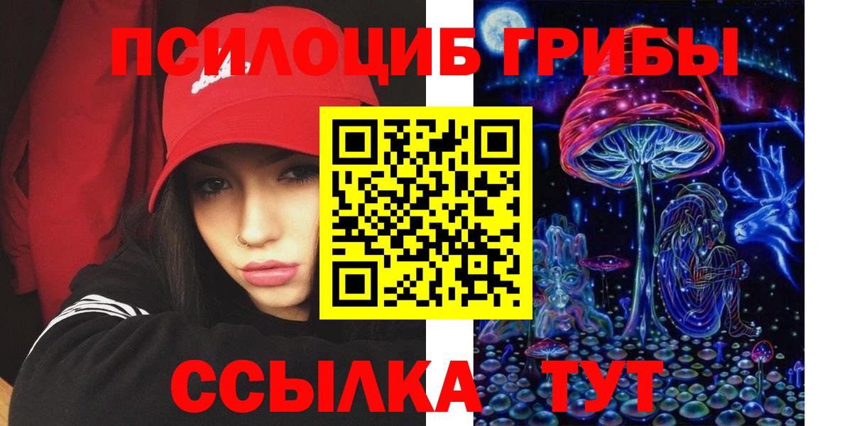 Тверь  Галлюциногенные грибы Psilocybe  Вход с VPN 